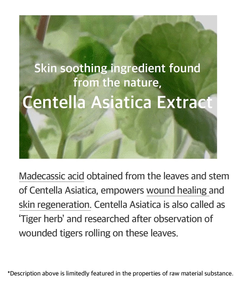 mixsoon Soondy Centella Asiatica Essence 100ml